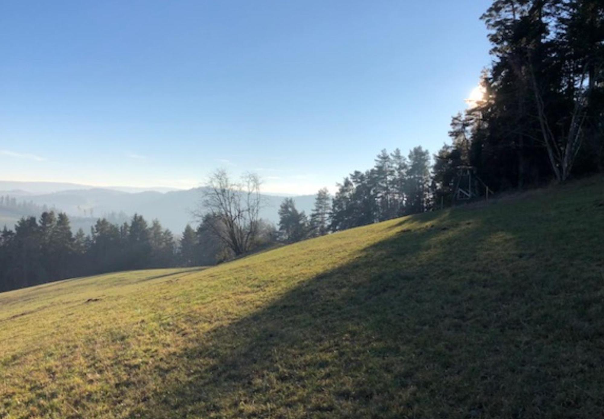 Am Bach Idyllisches Ferienhaus Imヴィラ エクステリア 写真