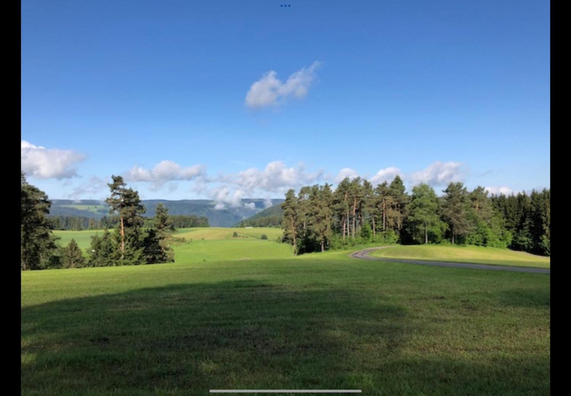 Am Bach Idyllisches Ferienhaus Imヴィラ エクステリア 写真