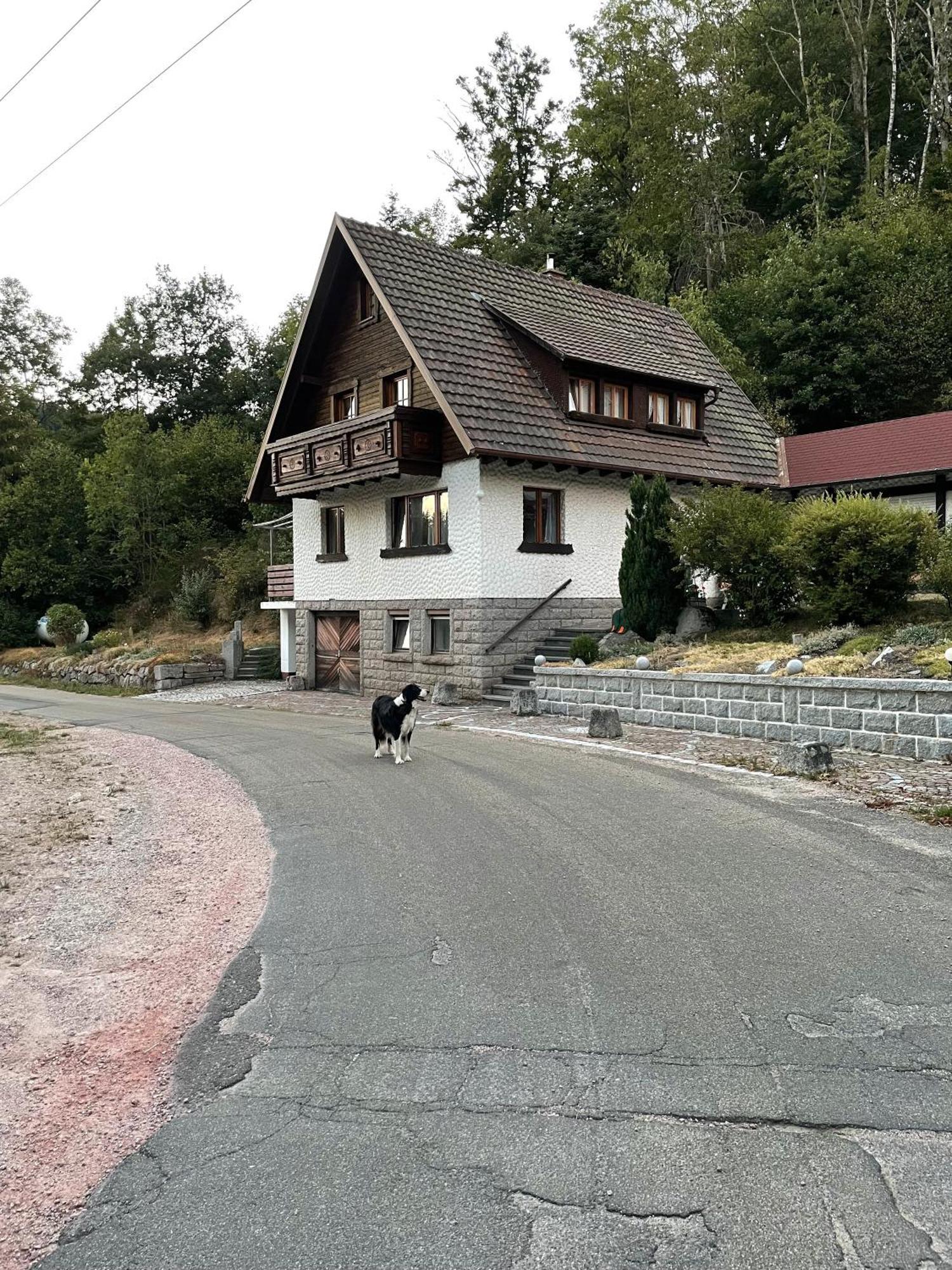 Am Bach Idyllisches Ferienhaus Imヴィラ エクステリア 写真