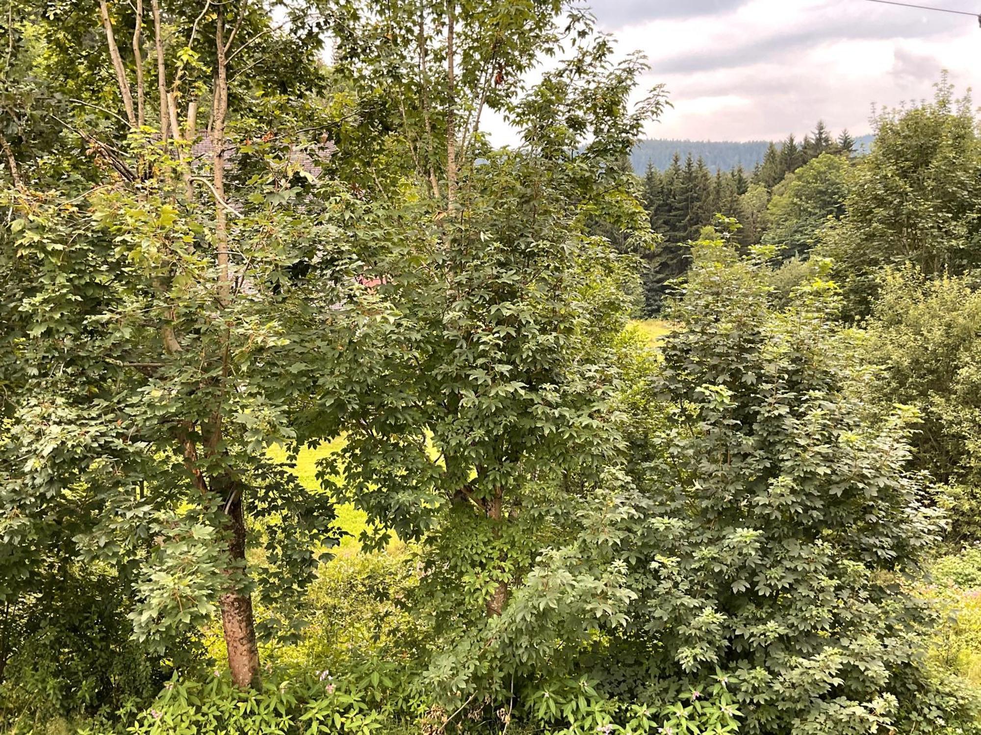 Am Bach Idyllisches Ferienhaus Imヴィラ エクステリア 写真